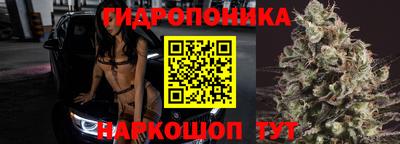 дмт Кингисепп