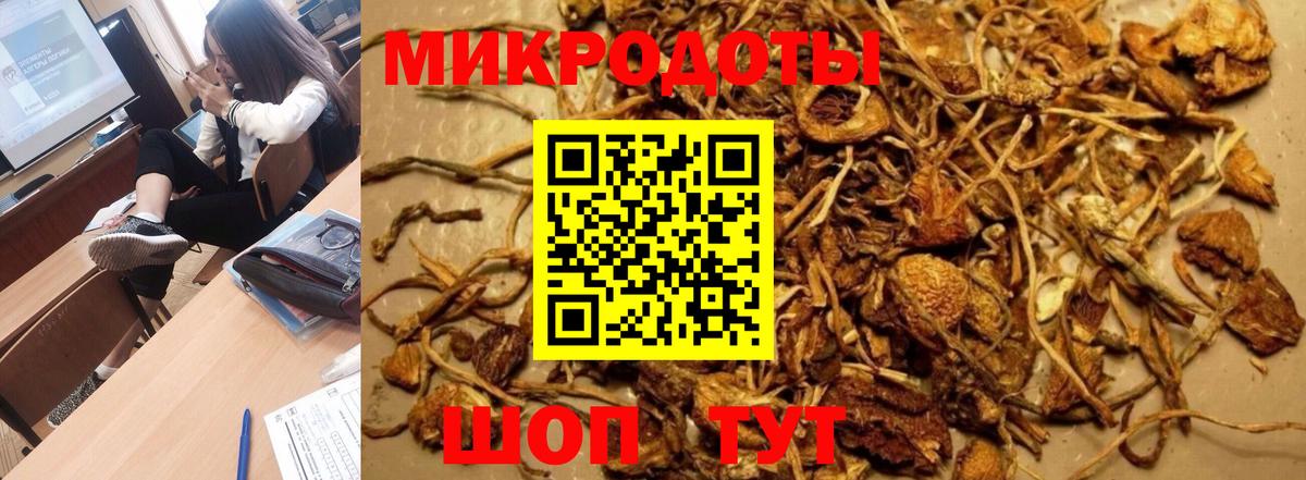 Галлюциногенные грибы GOLDEN TEACHER  Вход с VPN  Галлюциногенные грибы Psilocybe  что такое наркотик  Крымск 